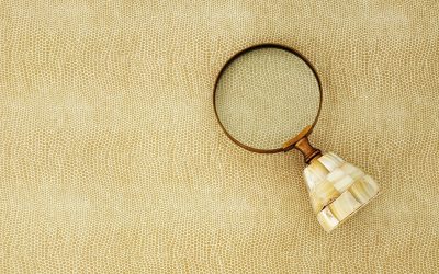 A transversalidade das nossas dinâmicas